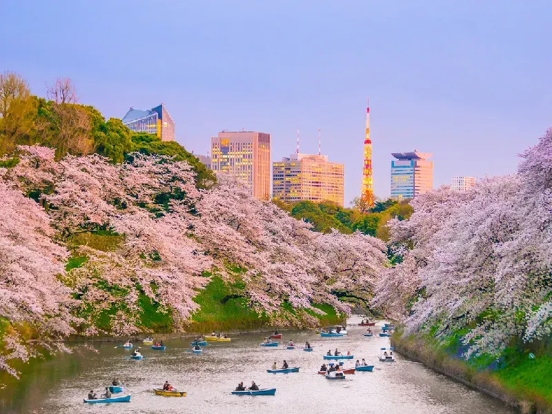 Viaje a Japón de 9 días: Tokio, Monte Fuji y Kioto